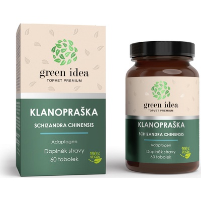 Green idea Kustovnice čínská bylinný extrakt 60 tablet