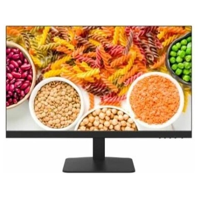 Hikvision DS-D5024F2-1V2S