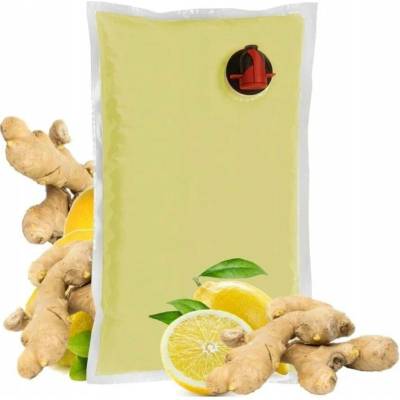 Sadvit Strong Ginger 100% 1,5 l