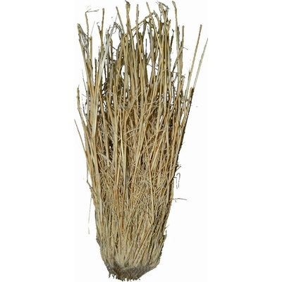 Lucky Reptile Grass Bushes 25-40 cm – Zboží Dáma