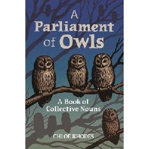 Parliament of Owls | Chloe Rhodes (ISBN: 9781789295955)