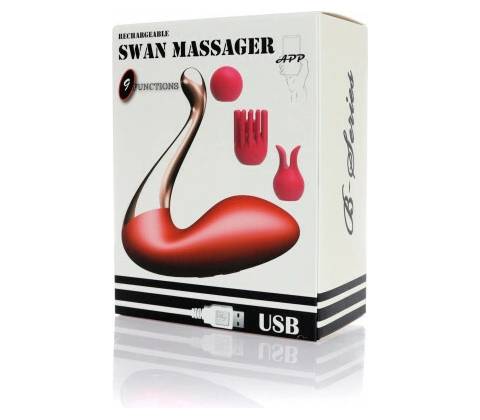 Swan massager interchangeable heads