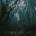 NACHTMYSTIUM - EULOGY IV CD