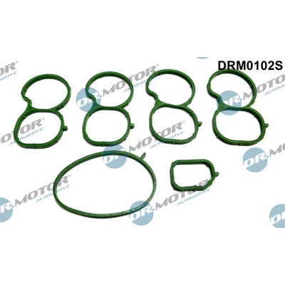 DR.MOTOR AUTOMOTIVE Sada tesnení kolena nasávacieho potrubia DRM0102S