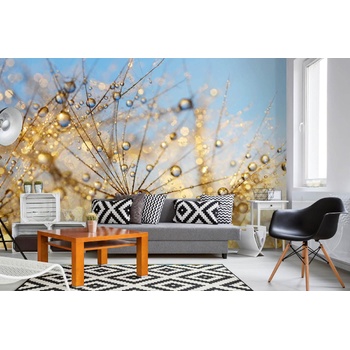 DIMEX ART s. r. o Самозалепваща се флизелинова фототапета красиво глухарче 375 x 250 см