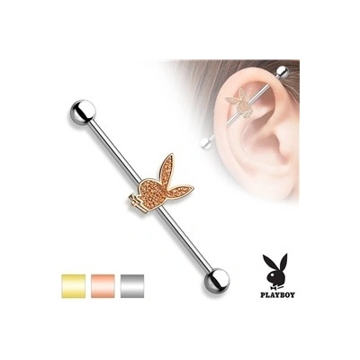 Piercingate Industrial piercing Playboy PIN00050 stříbrná