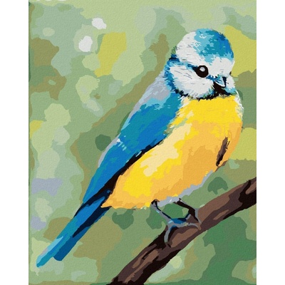 Zuty Malování Podle Čísel Modrý Ptáček Sedící Na Větvičce Myroslava Voloschuk 40 x 50 Cm Plátno 8596530223092