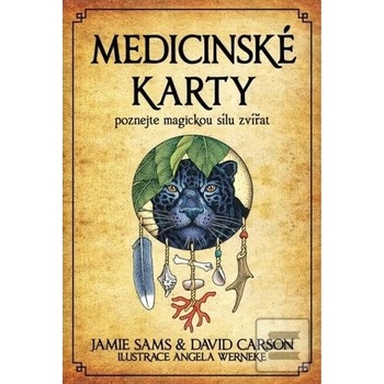 Medicinské karty
