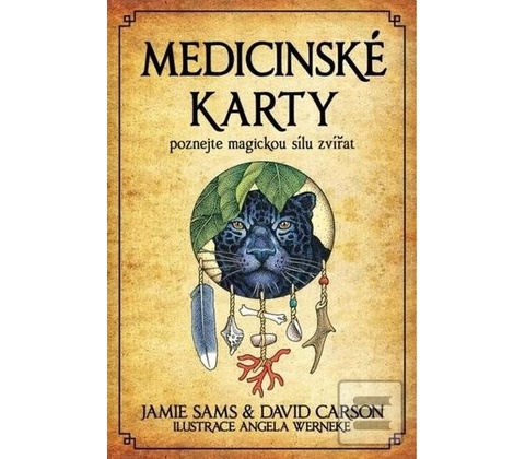 Medicinské karty