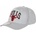 Mitchell & Ness sivá
