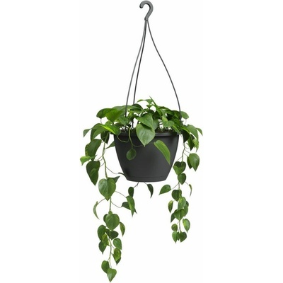 Artevasi Algarve Hanging Basket 30 cm