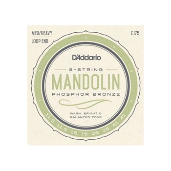 D'addario EJ75
