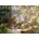 Enjoy - Puzzle Marie Egner: In the Blossoming Bower - 1 000 piese