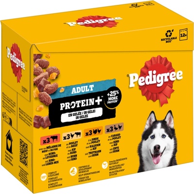Pedigree Adult Protein Plus v želé 4 druhy 48 x 85 g