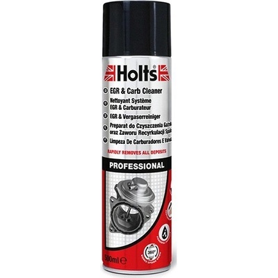 Holts Čistič EGR ventilu a karburátoru 500ml | Zboží Auto