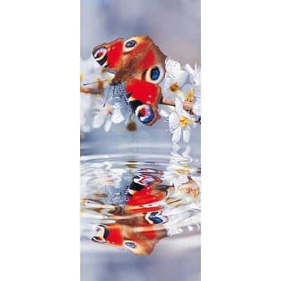 Preinterier DV0043 Fototapeta na stenu Motýľ vlies 91cm x 211cm