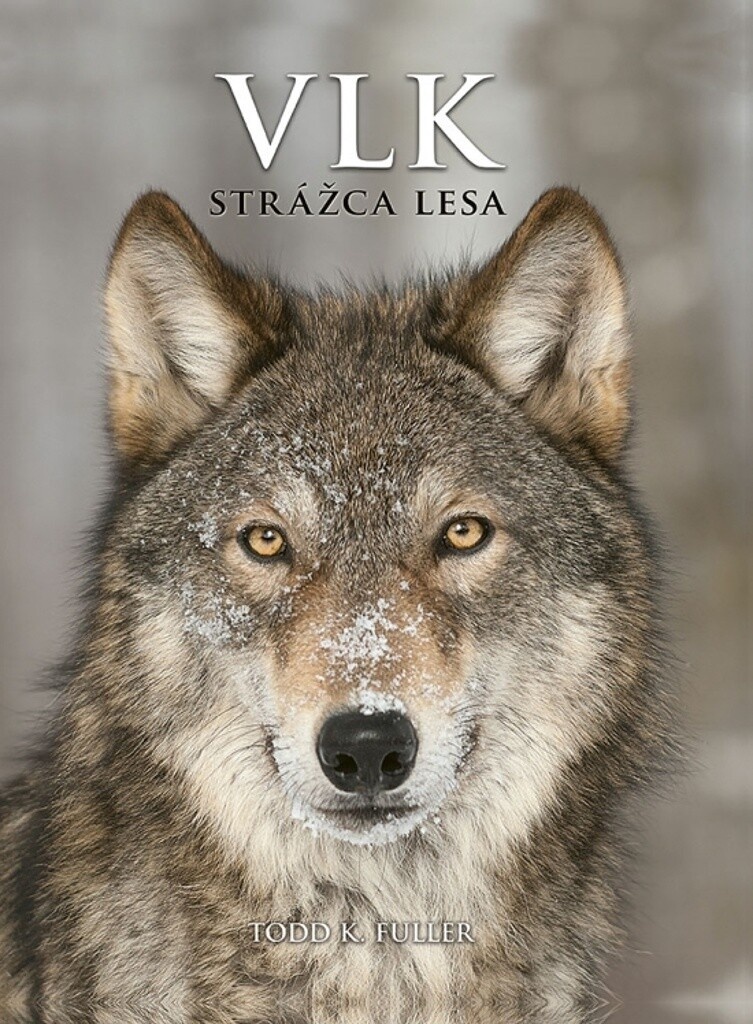 Vlk Strážca lesa