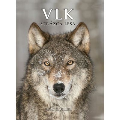 Vlk Strážca lesa