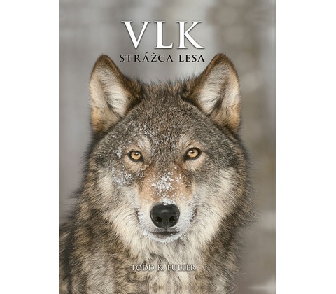 Vlk Strážca lesa