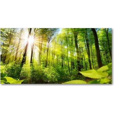 Foto obraz sklo tvrzené les slnko 100x50 cm