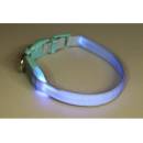 Dogtrace Obojok svietiaci syntetický popruh