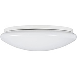Fulgur ANETA 23721