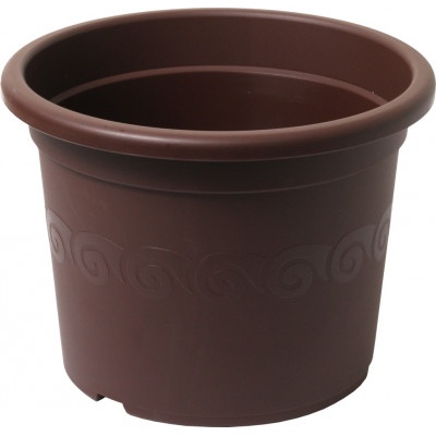 Abex Narcis 15 cm čokoláda