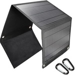 Viking Technology SP30W