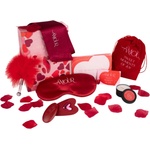 Dream Toys Dreamtoys Amour - комплект с вибратор тип бикини (червен) - lovesexshop
