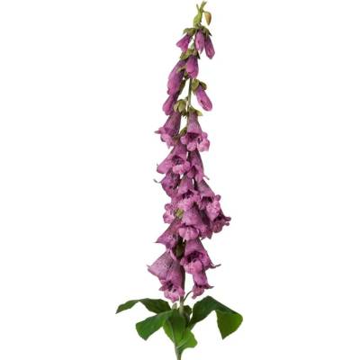 Boltze Umelá kvetina na stonke, fialová, 90 cm