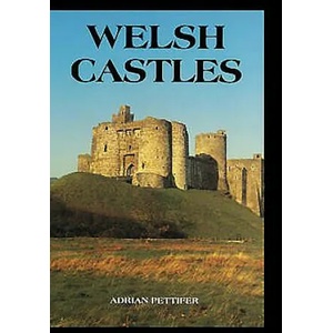 Welsh Castles | Adrian Pettifer (ISBN: 9780851157788)