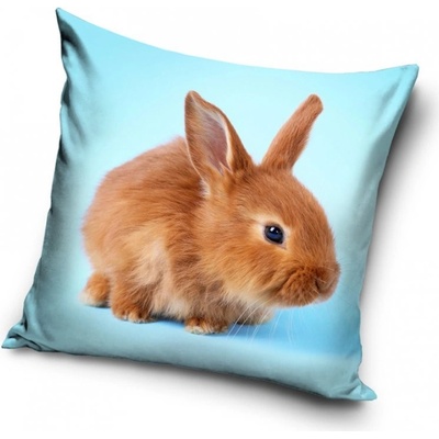 Carbotex Hrdzavý zajačik 40 x 40 cm