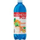 Magnesia Plus Boost 0,7 l