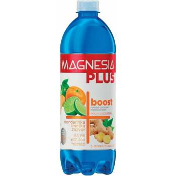 Magnesia Plus Boost 0,7 l
