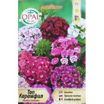 Image 1 of Opal Zi Топ Карамфил микс