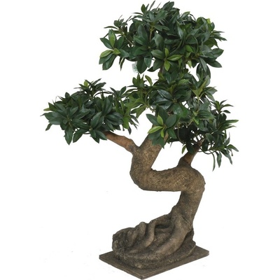 Umelá Bonsai Ficus euonymus japonicus, 75cm