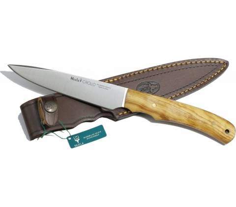 Muela Criollo 17 OL