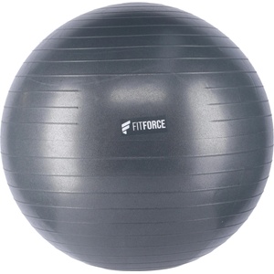 Fitforce Gym antiburst 55 55