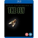The Fly BD