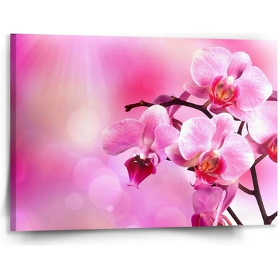 Sablio Obraz Květy orchideje - 150x110 cm