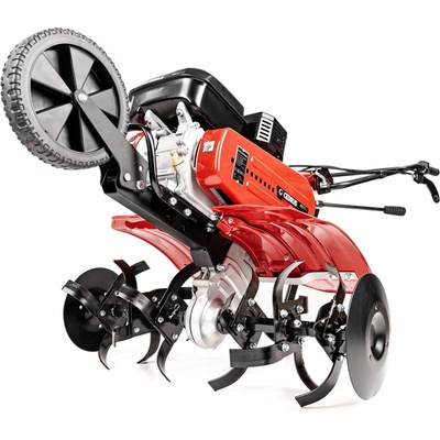 Hahn & Sohn Cedrus GL500
