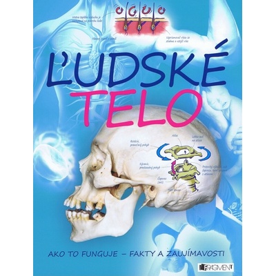 Ľudské telo - ako to funguje - fakty a zaujímavosti