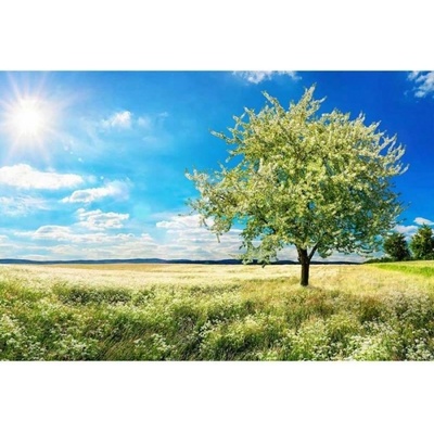 DIMEX ART Флизелинов фототапет дърво на поляна 375 x 250 см