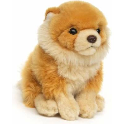 Eco- Friendly Dudlu Pes Pomeranian 21 cm