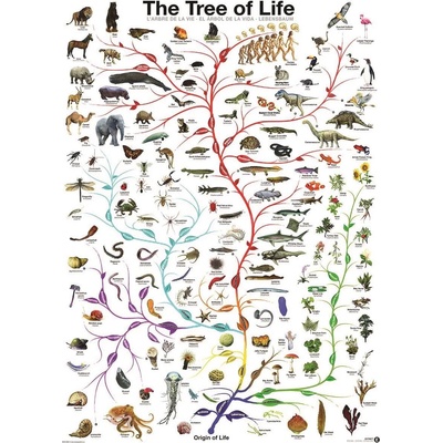 EUROGRAPHICS - Puzzle The Tree of Life 1000 - 1 000 piese