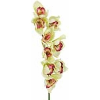 Orchidej větvička, zelená, 90 cm