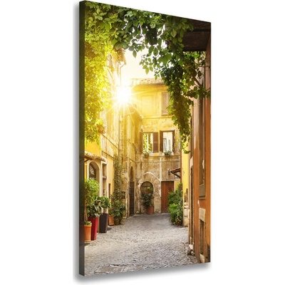 Vertikálny foto obraz na plátne Talianske uličky 50x100 cm