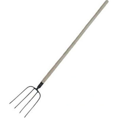 Export 5061