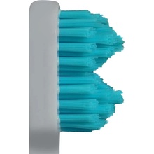 Splash-Brush 170 Lila 2 Medium