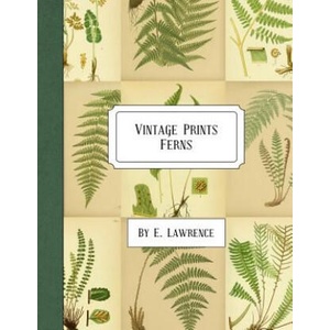 Vintage Prints: Ferns | E. Lawrence (ISBN: 9781987530902)
